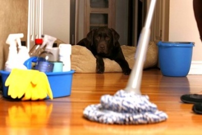 9 việc làm thêm kiếm 'bộn' tiền